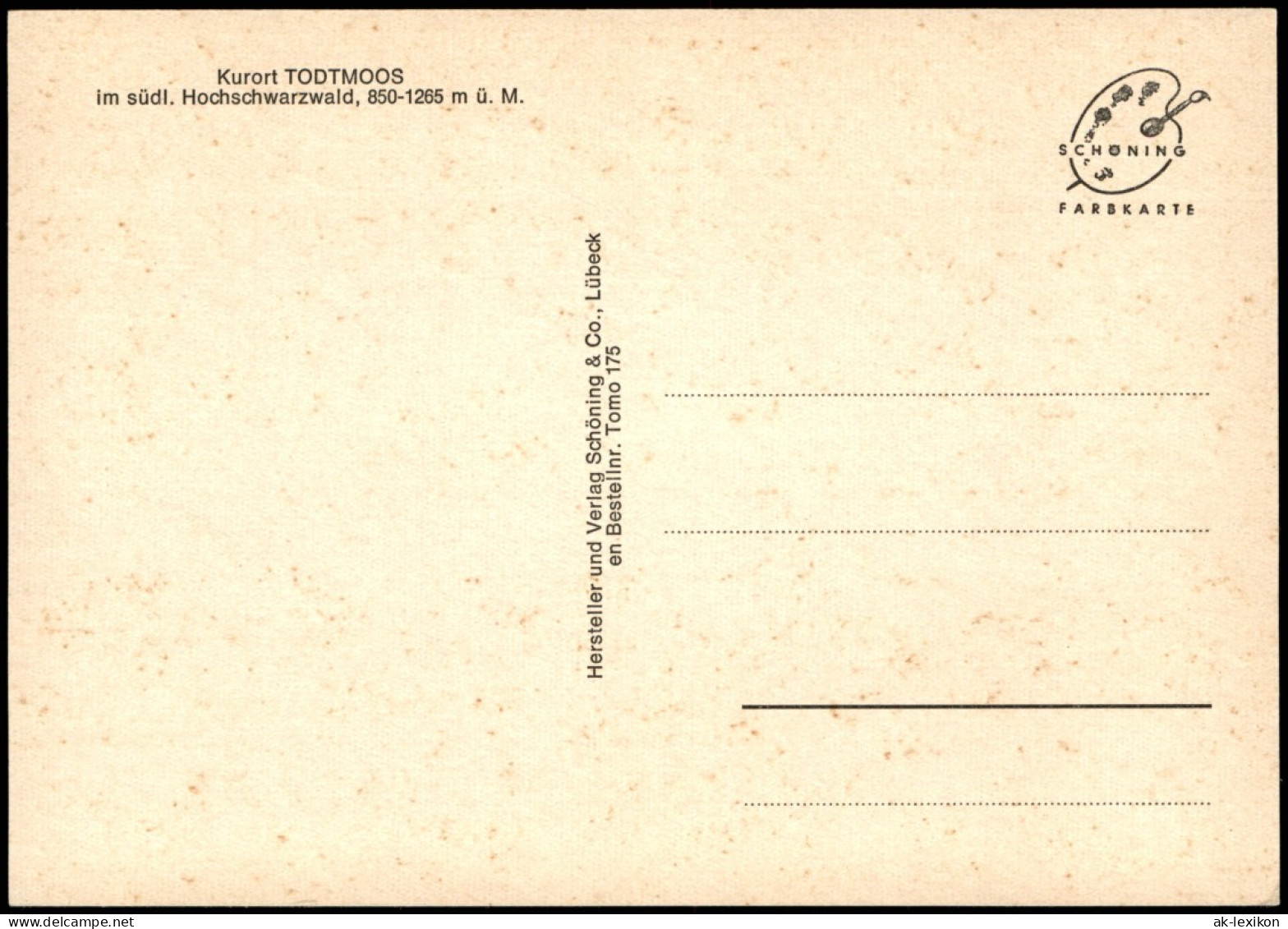 Ansichtskarte Todtmoos Panorama-Ansicht; Ort Im Hochschwarzwald 1970 - Todtmoos