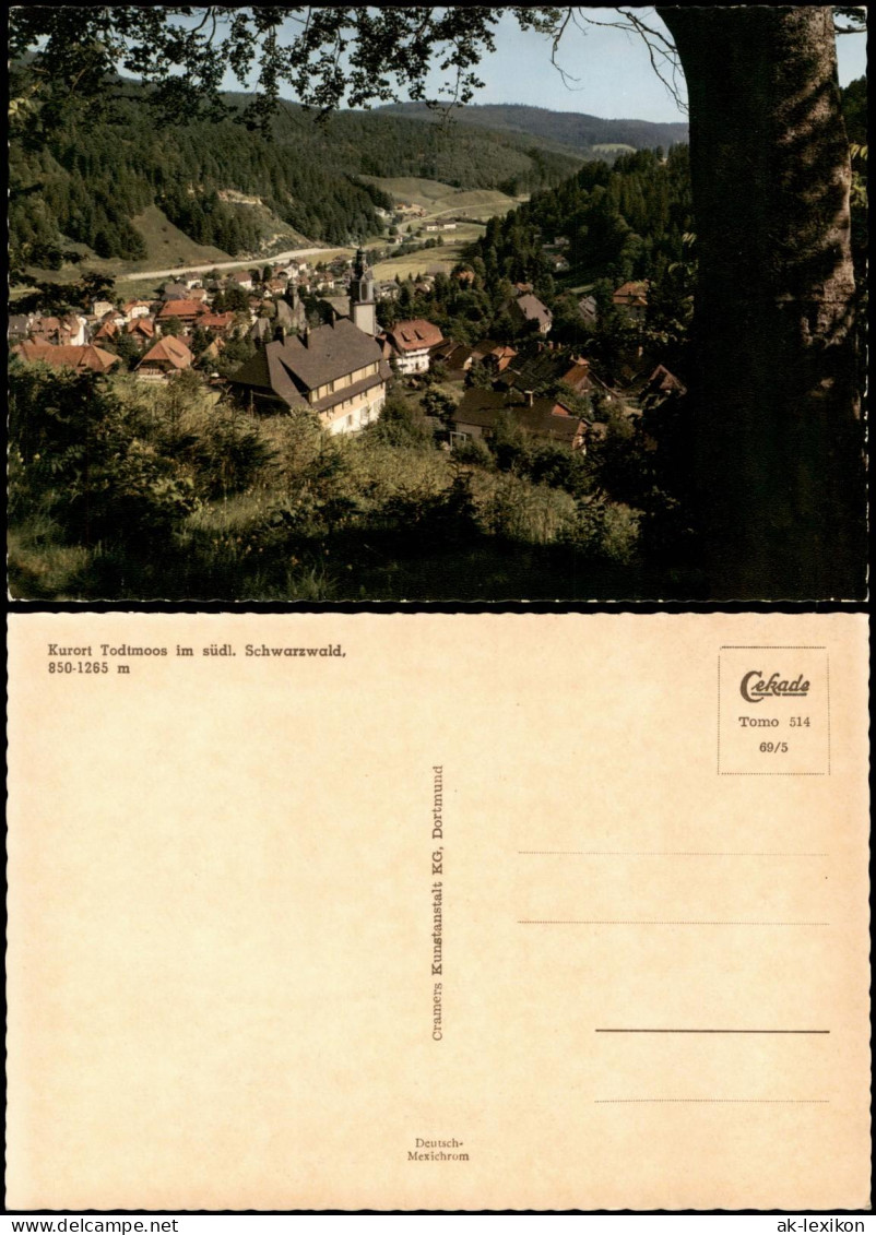 Ansichtskarte Todtmoos Panorama-Ansicht 1969 - Todtmoos