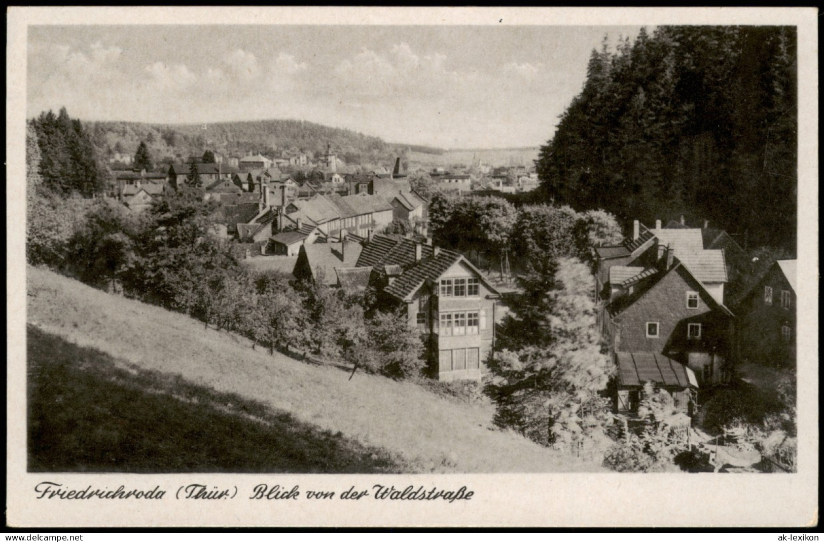 Ansichtskarte Friedrichroda Panorama-Ansicht Blick Von Der Waldstraße 1959 - Friedrichroda