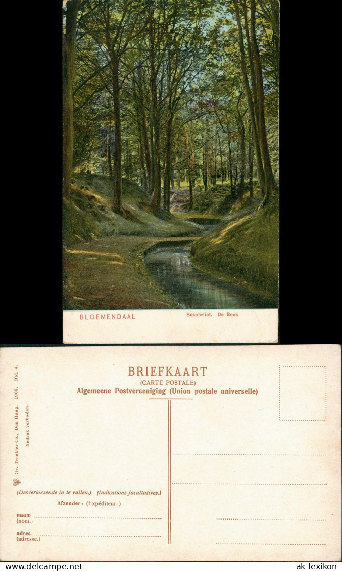 Postkaart Bloemendaal Boschvliet. De Beek 1905 - Bloemendaal