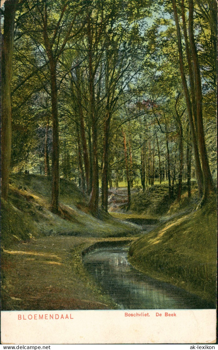 Postkaart Bloemendaal Boschvliet. De Beek 1905 - Bloemendaal