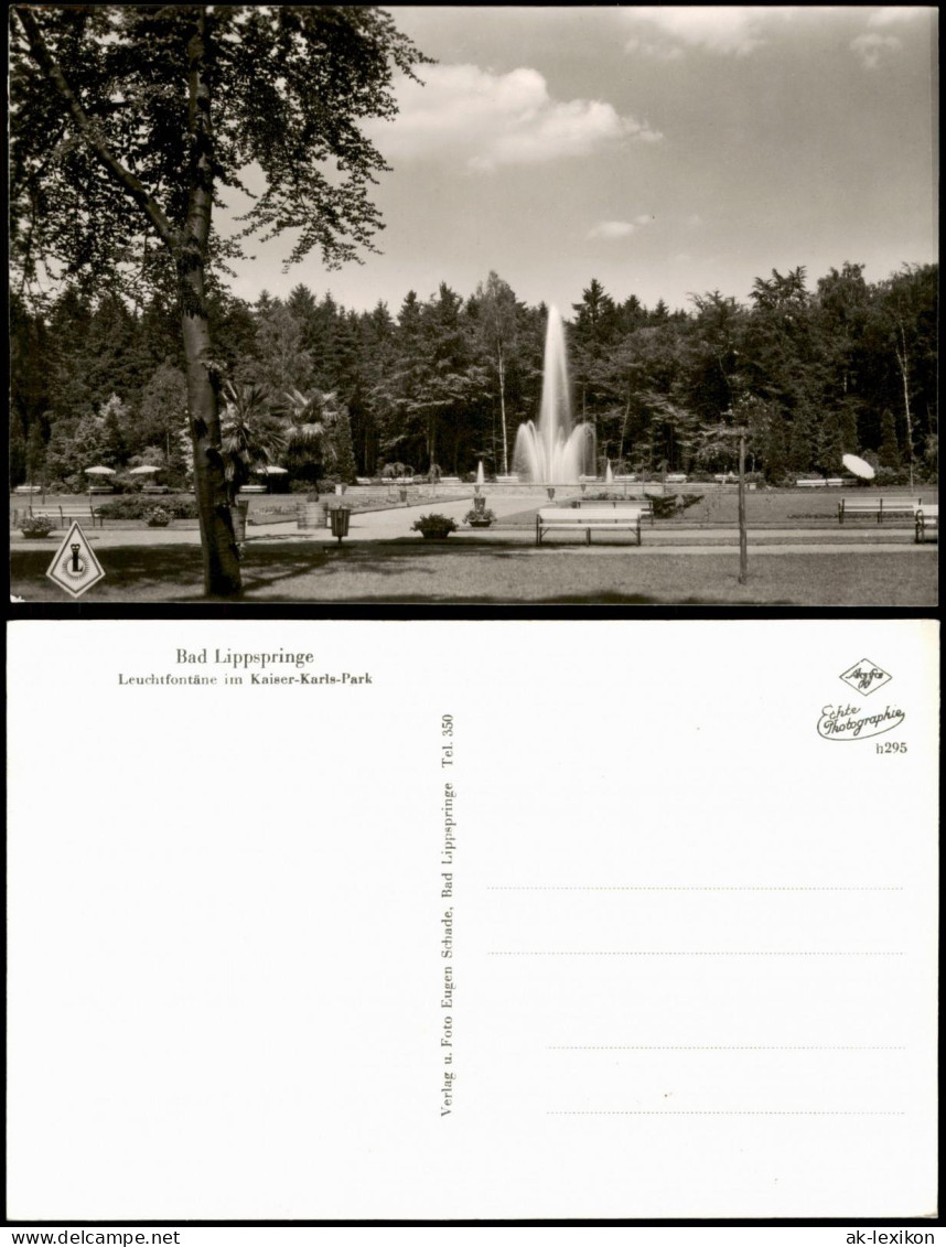 Ansichtskarte Bad Lippspringe Leuchtfontäne Im Kaiser-Karls-Park 1960 - Bad Lippspringe