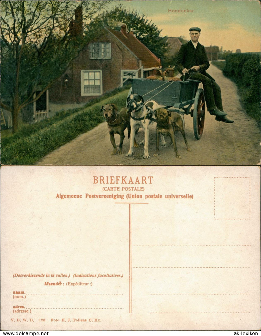 Postkaart .Niederlande Holland Hondenkar Mann Auf Hundekarren Typen 1911 - Autres & Non Classés