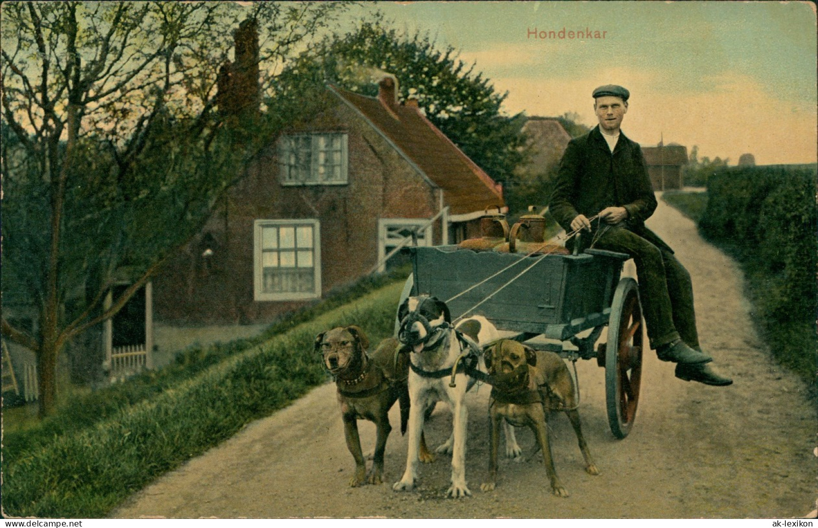 Postkaart .Niederlande Holland Hondenkar Mann Auf Hundekarren Typen 1911 - Autres & Non Classés