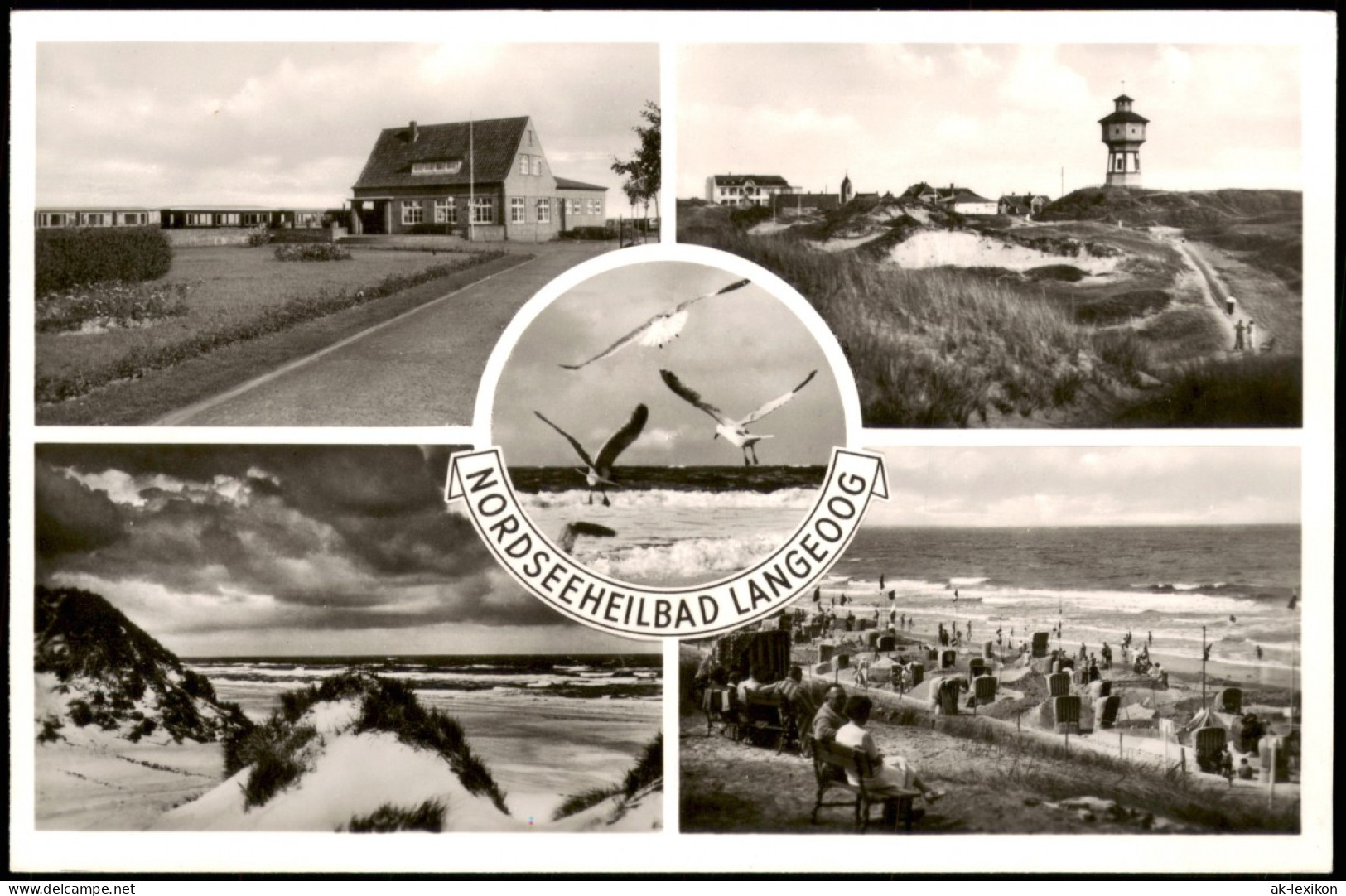 Ansichtskarte Langeoog Möwen, Turm, Strand, Haus 1962 - Langeoog