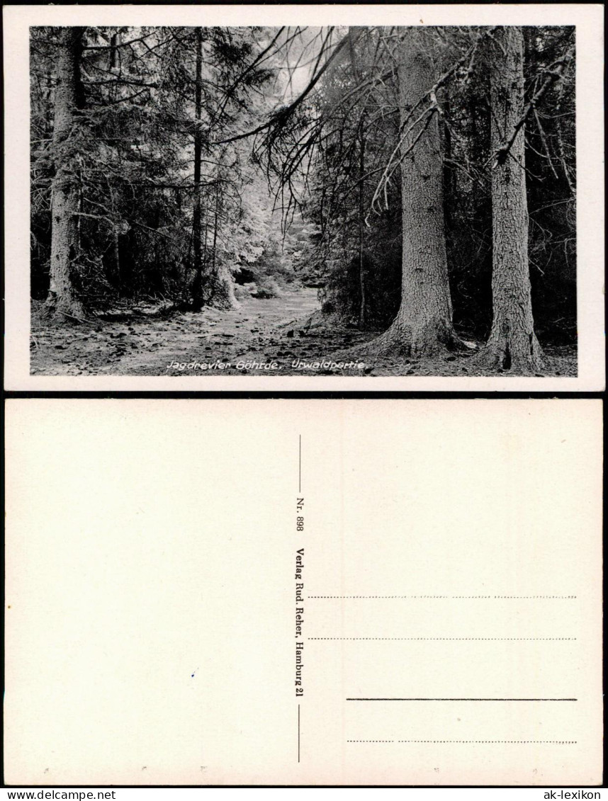Ansichtskarte Göhrde Jagdrevier Göhrde - Waldweg 1940 - Autres & Non Classés