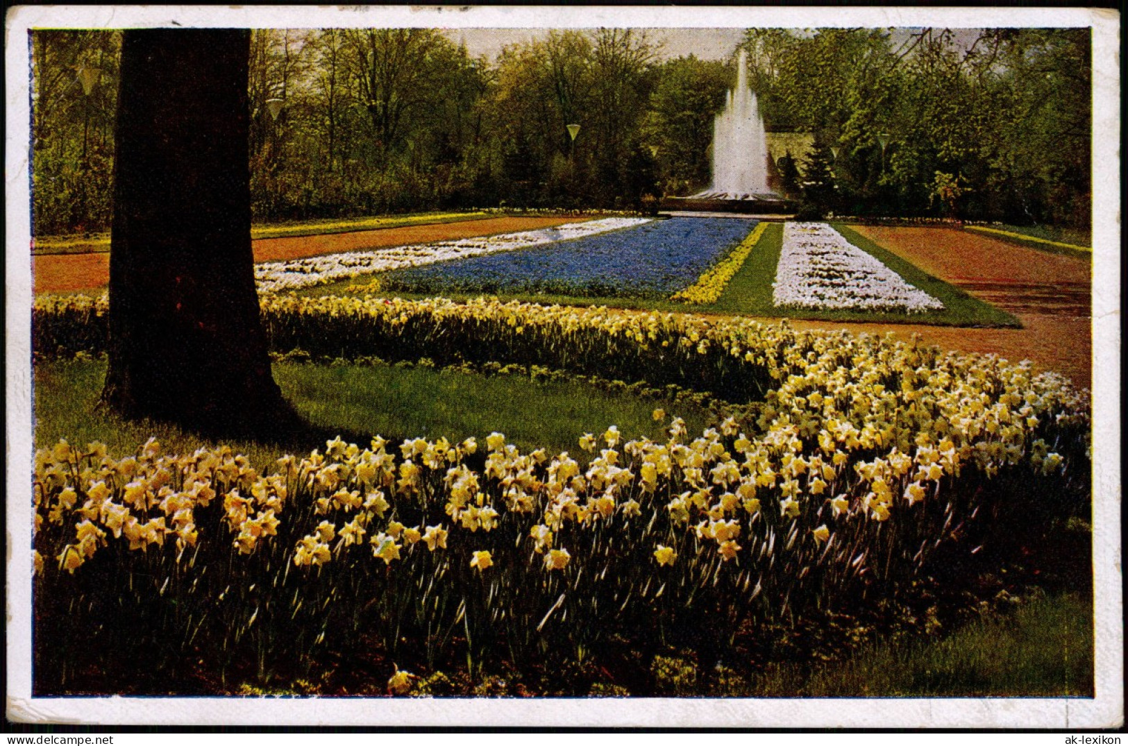 Ansichtskarte Dresden Reichsgartenschau - Blumenbeete Fontäne 1936 - Dresden