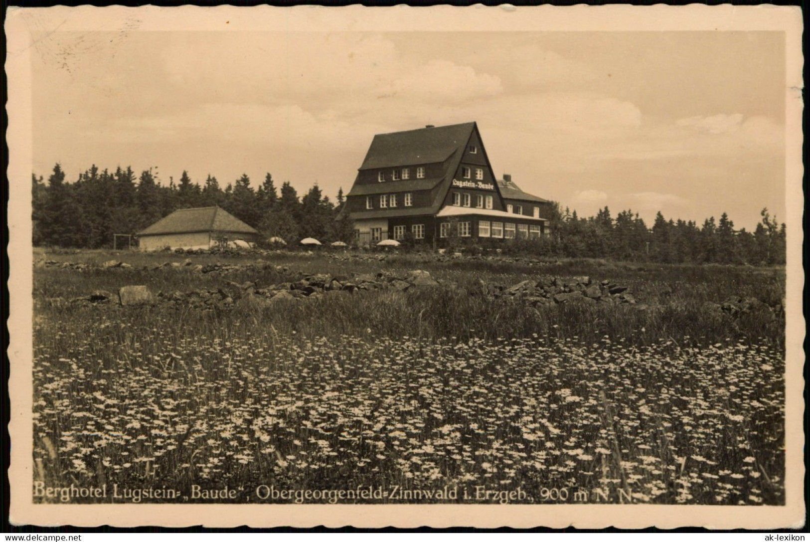 Zinnwald-Georgenfeld-Altenberg (Erzgebirge) Lugstein-Baude, Hochmoor 1943 - Altenberg