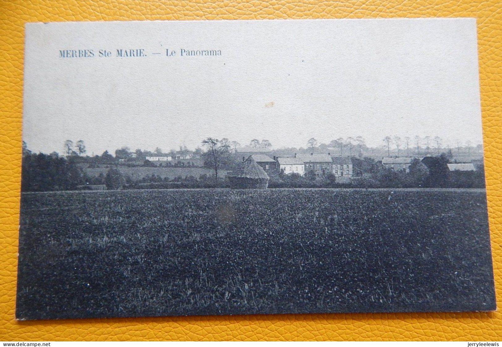 MERBES SAINTE  MARIE  (Merbes Le Château)  - Le Panorama - Merbes-le-Château