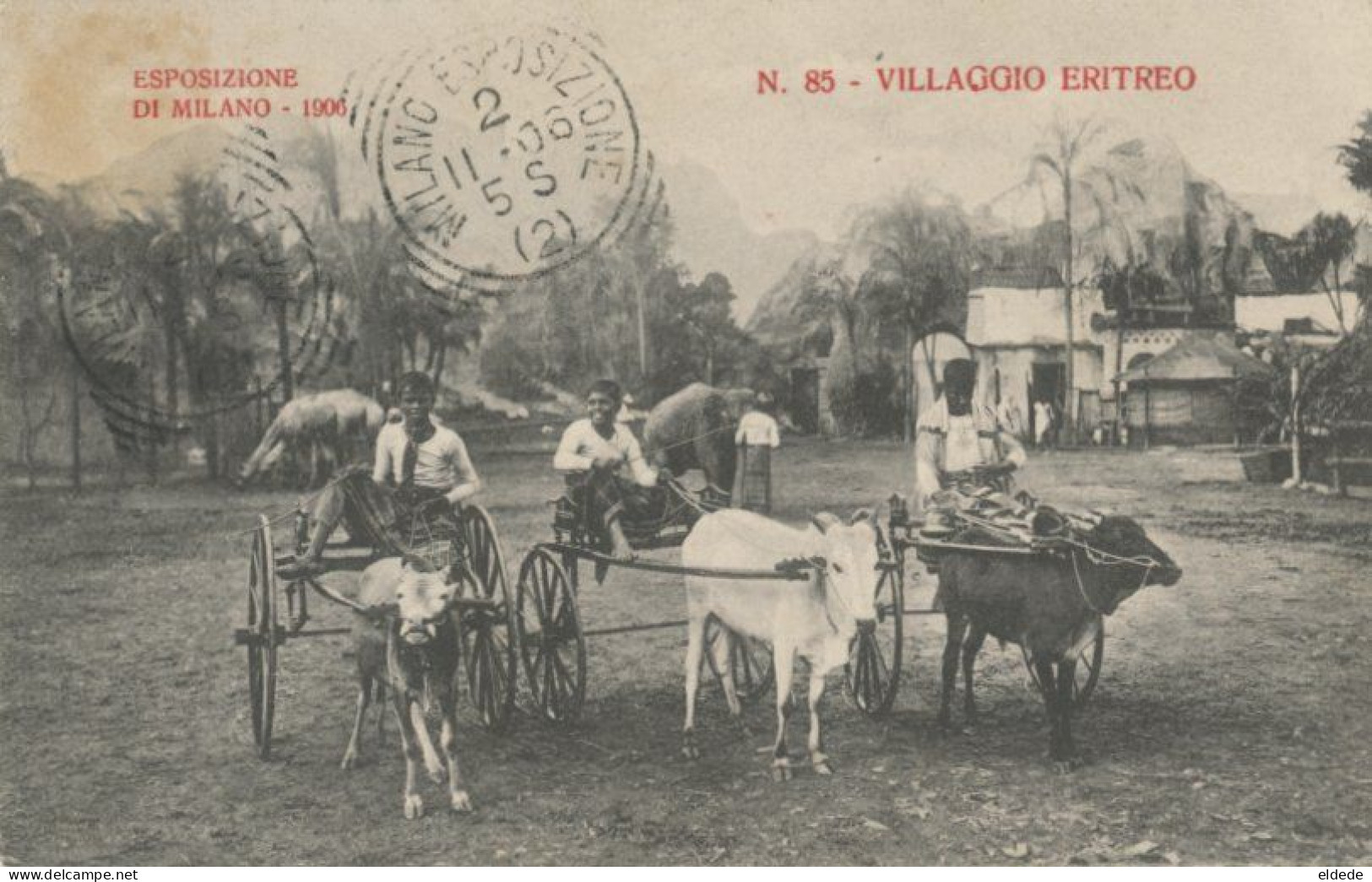 Attelages Zebu Boeuf Village Erythrée Exposition Milan 1906 - Erythrée