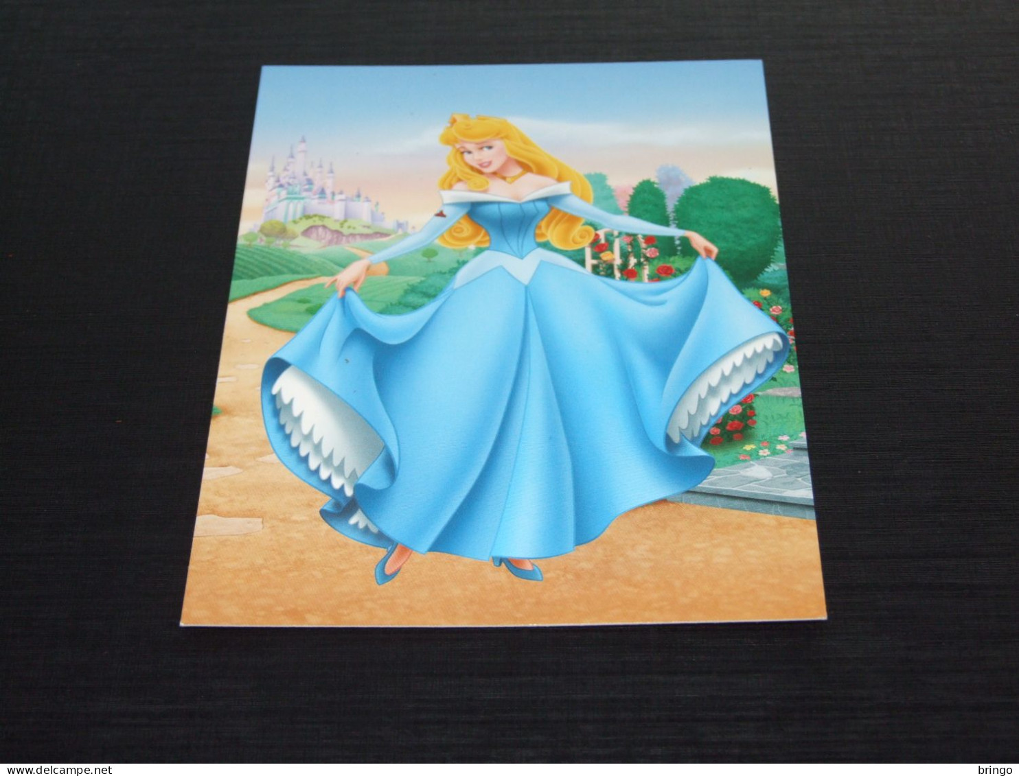 75033-   DISNEY, PRINCESS - Andere & Zonder Classificatie