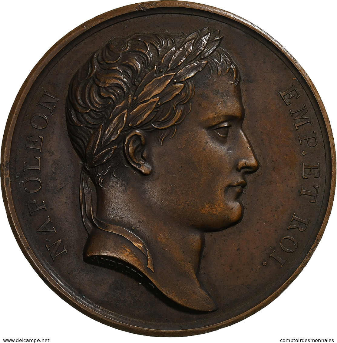 France, Médaille, Napoléon Ier, Bataille D'Austerlitz, 1805, Bronze, Jaley, TTB+ - Andere & Zonder Classificatie