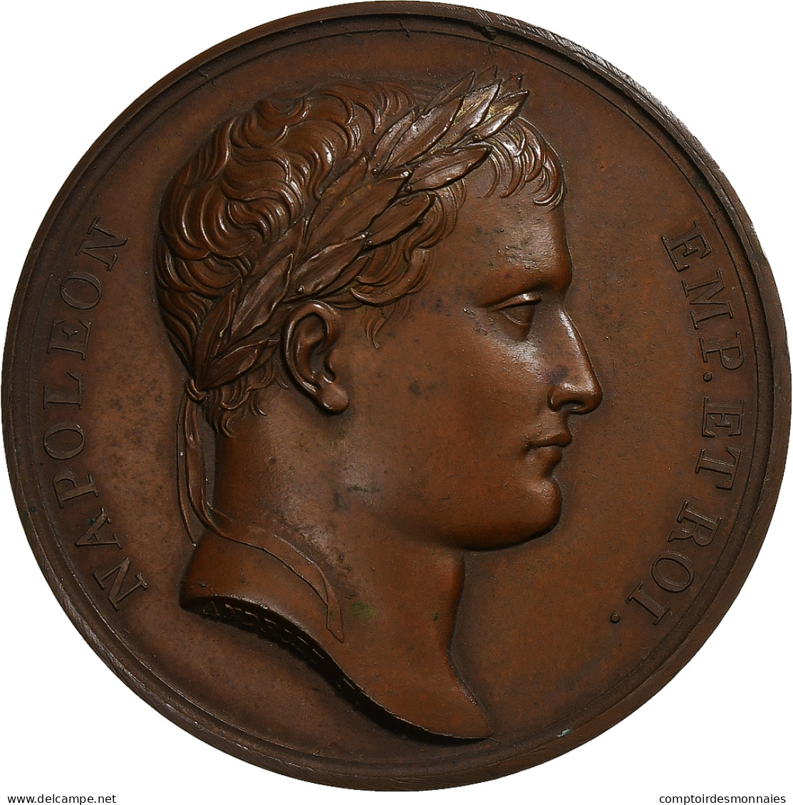 France, Médaille, Napoléon I, Cathédrale De Vienne, 1805, Bronze, Andrieu, SUP - Otros & Sin Clasificación