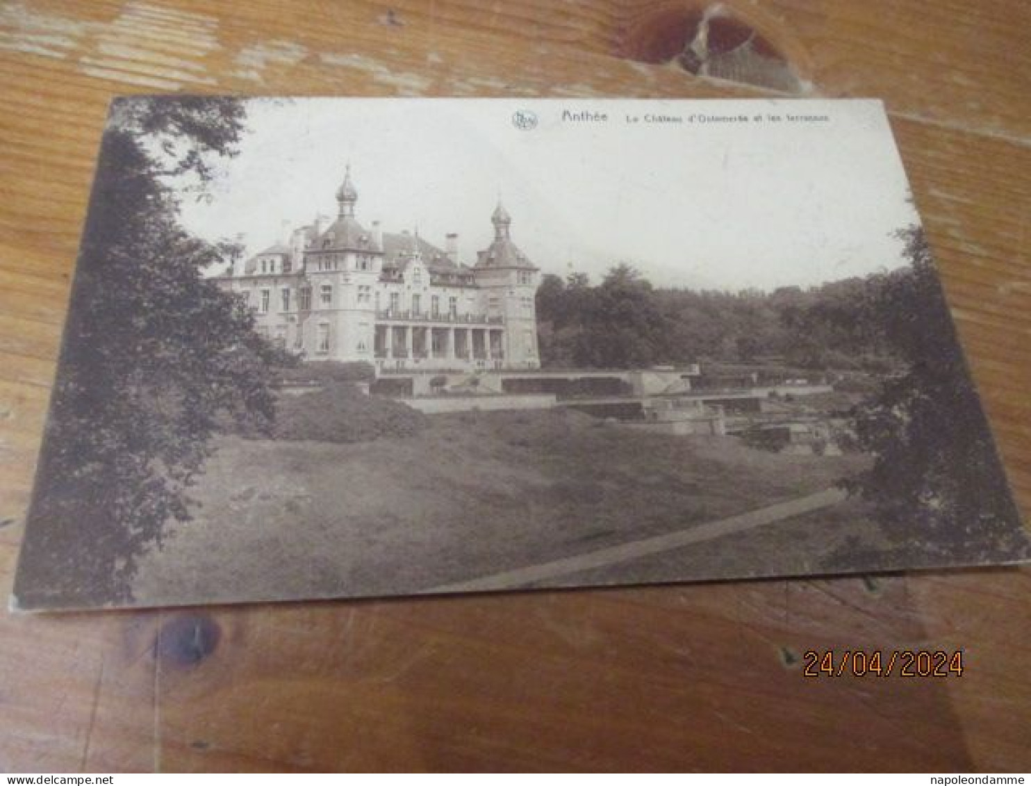 Anthée, Le Chateau D'Ostermerée Et Les Terrasses - Anhee