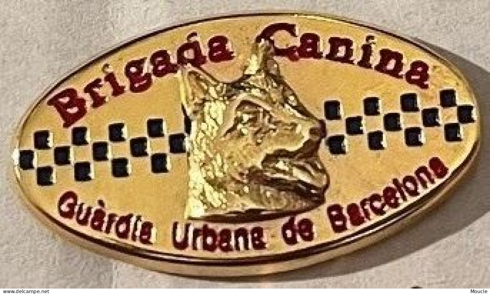 CHIEN - DOG - CANE - HUND - BERGER ALLEMAND - GRIGADA CANINA - GUARDIA URBANA DE BARCELONA - SPAIN - ESPAGNE - (34) - Polizei