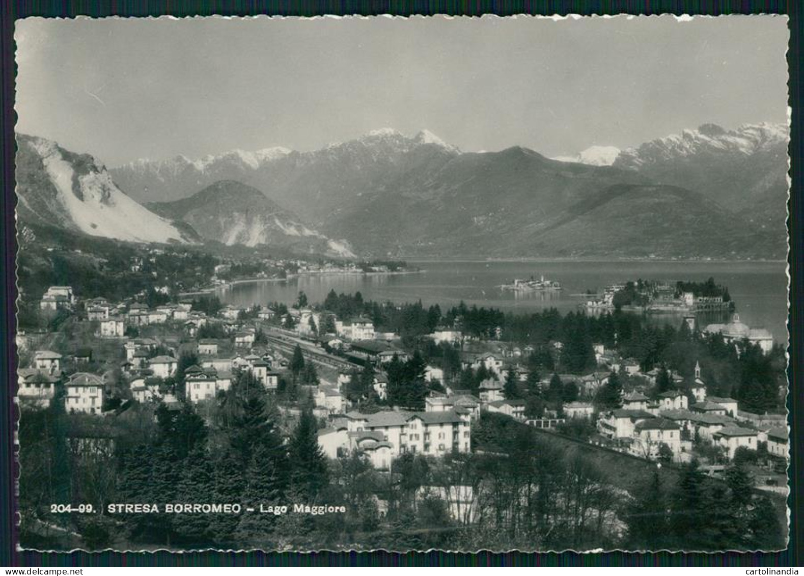 Verbania Stresa Isole Borromeo Lago Maggiore Foto FG Cartolina MZ0493 - Verbania