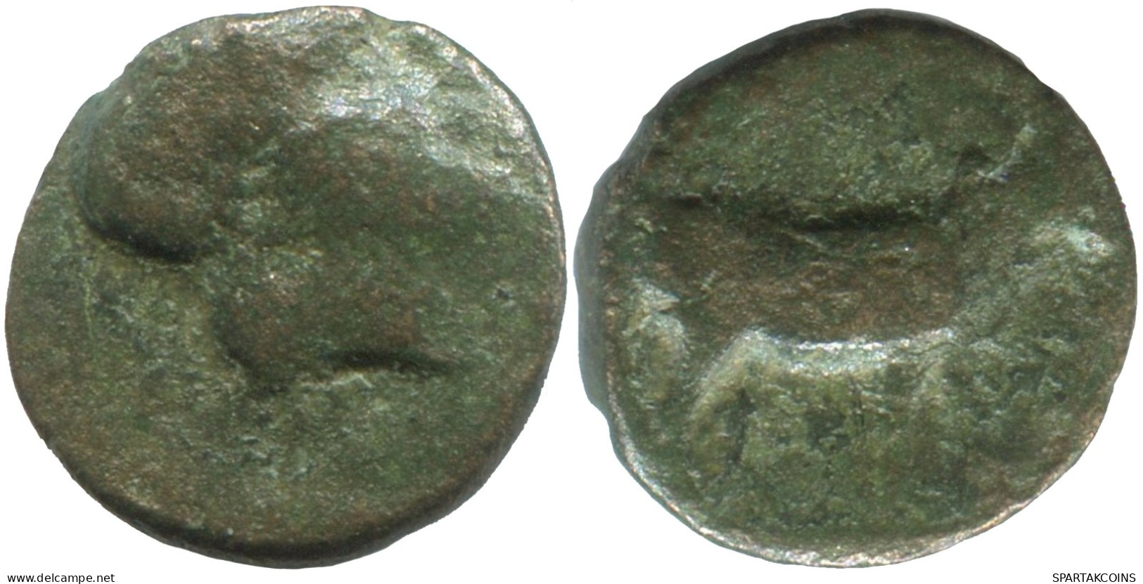 GOAT Antique GREC ANCIEN Pièce 1.2g/11mm #SAV1374.11.F.A - Greek