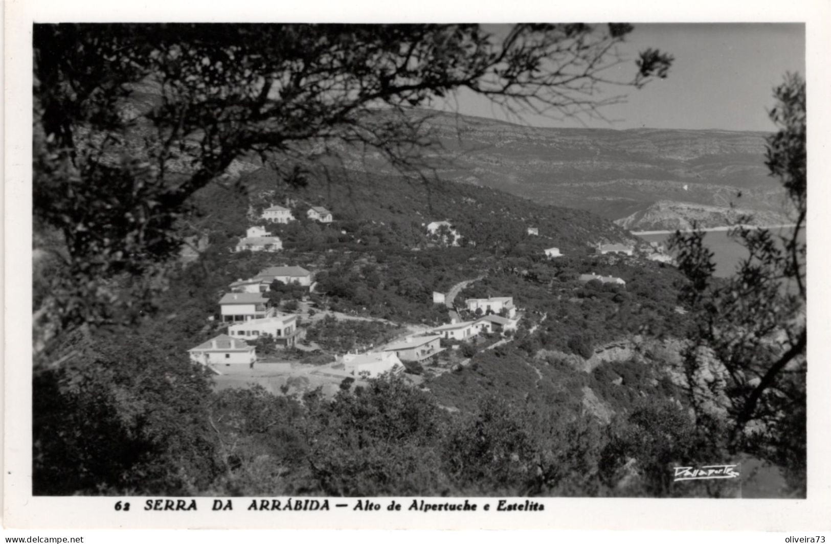 SERRA DA ARRÁBIDA - Alto De Alpertuche E Estelita - PORTUGAL - Setúbal