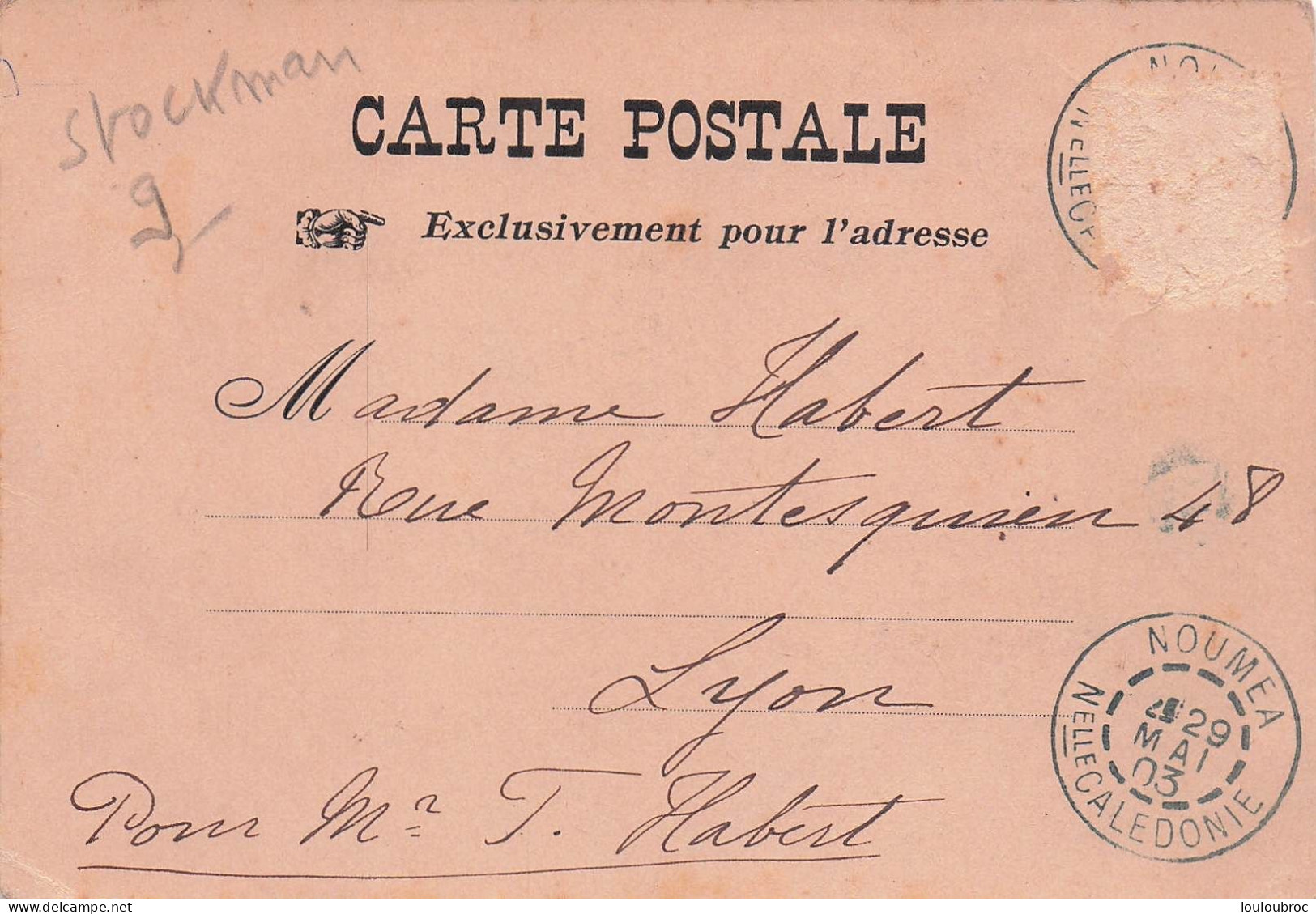 NOUVELLE CALEDONIE STOCKMAN ET TROUPEAU 1903 - Nouvelle Calédonie