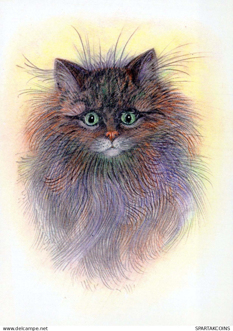 GATTO KITTY Animale Vintage Cartolina CPSM #PBQ950.A - Cats