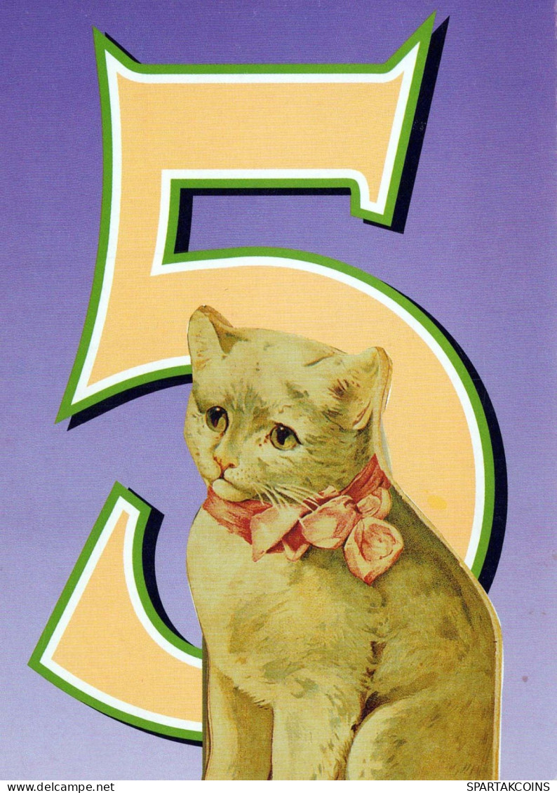 GATTO KITTY Animale Vintage Cartolina CPSM #PBQ870.A - Cats