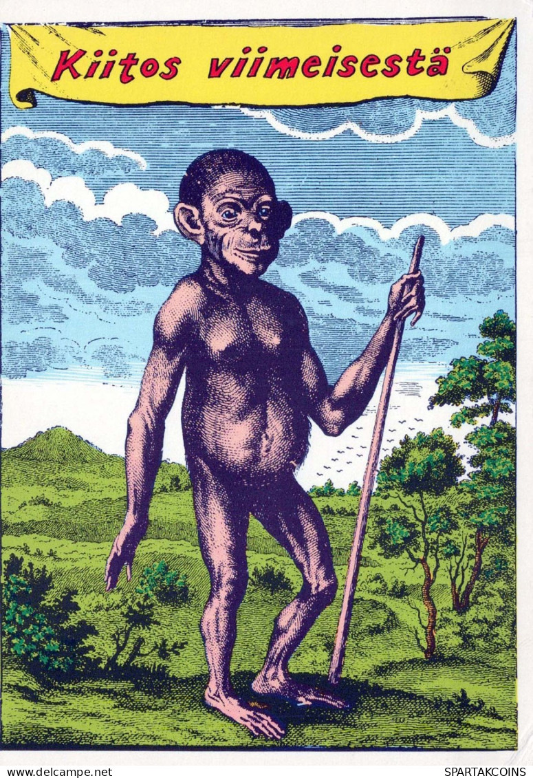 SINGE Animaux Vintage Carte Postale CPSM #PBR977.A - Scimmie