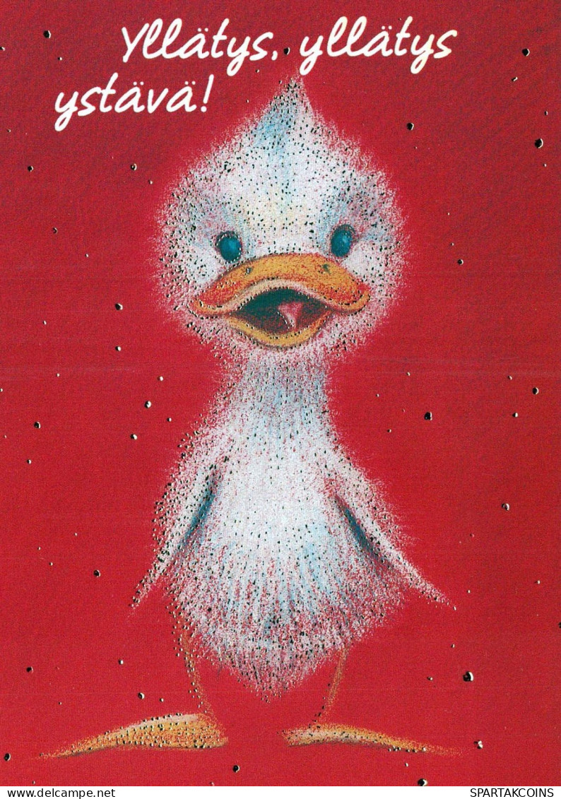 UCCELLO Animale Vintage Cartolina CPSM #PBR731.A - Birds