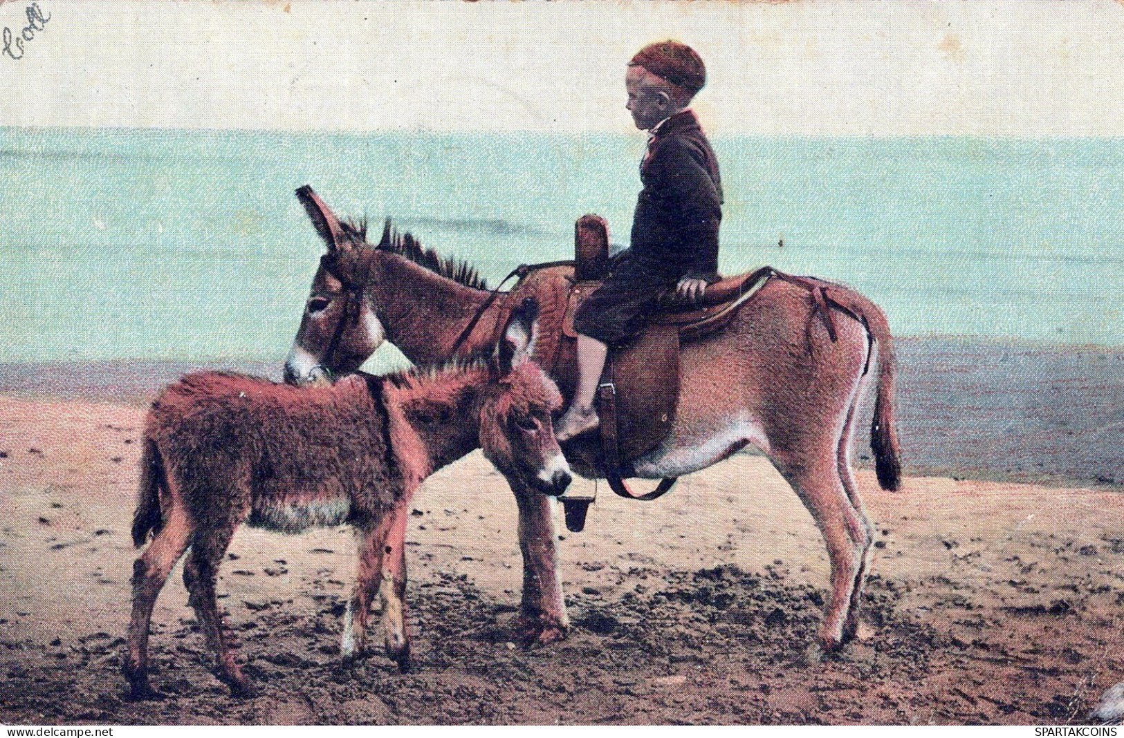 ASINO Animale BAMBINO Vintage CPA Cartolina #PAA340.A - Esel