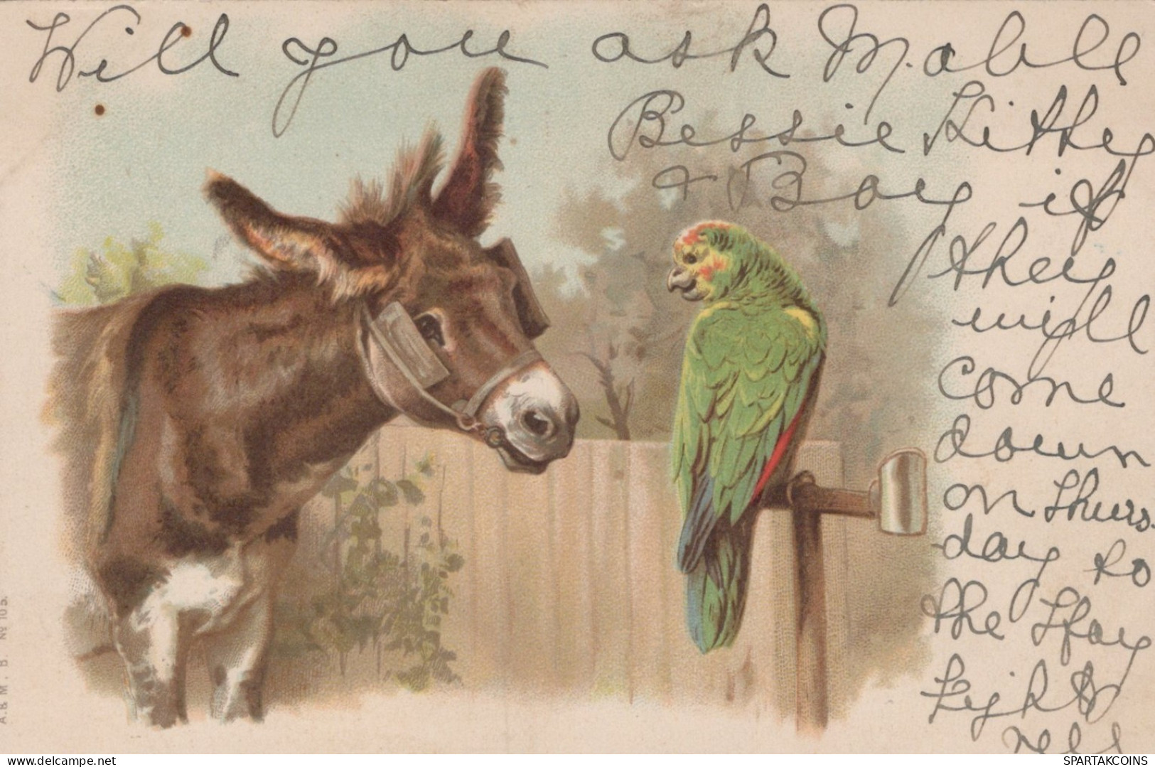 1902 ÂNE Animaux Vintage Antique CPA Carte Postale #PAA115.A - Burros