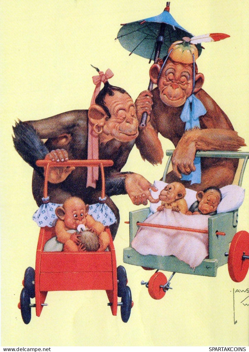 AFFE Vintage Ansichtskarte Postkarte CPSMPF #PKG943.A - Monkeys