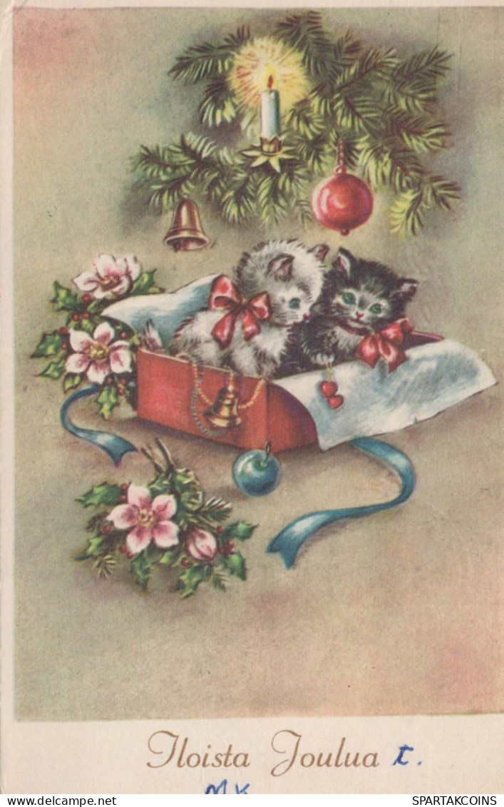 CHAT Vintage Carte Postale CPSMPF #PKG917.A - Cats