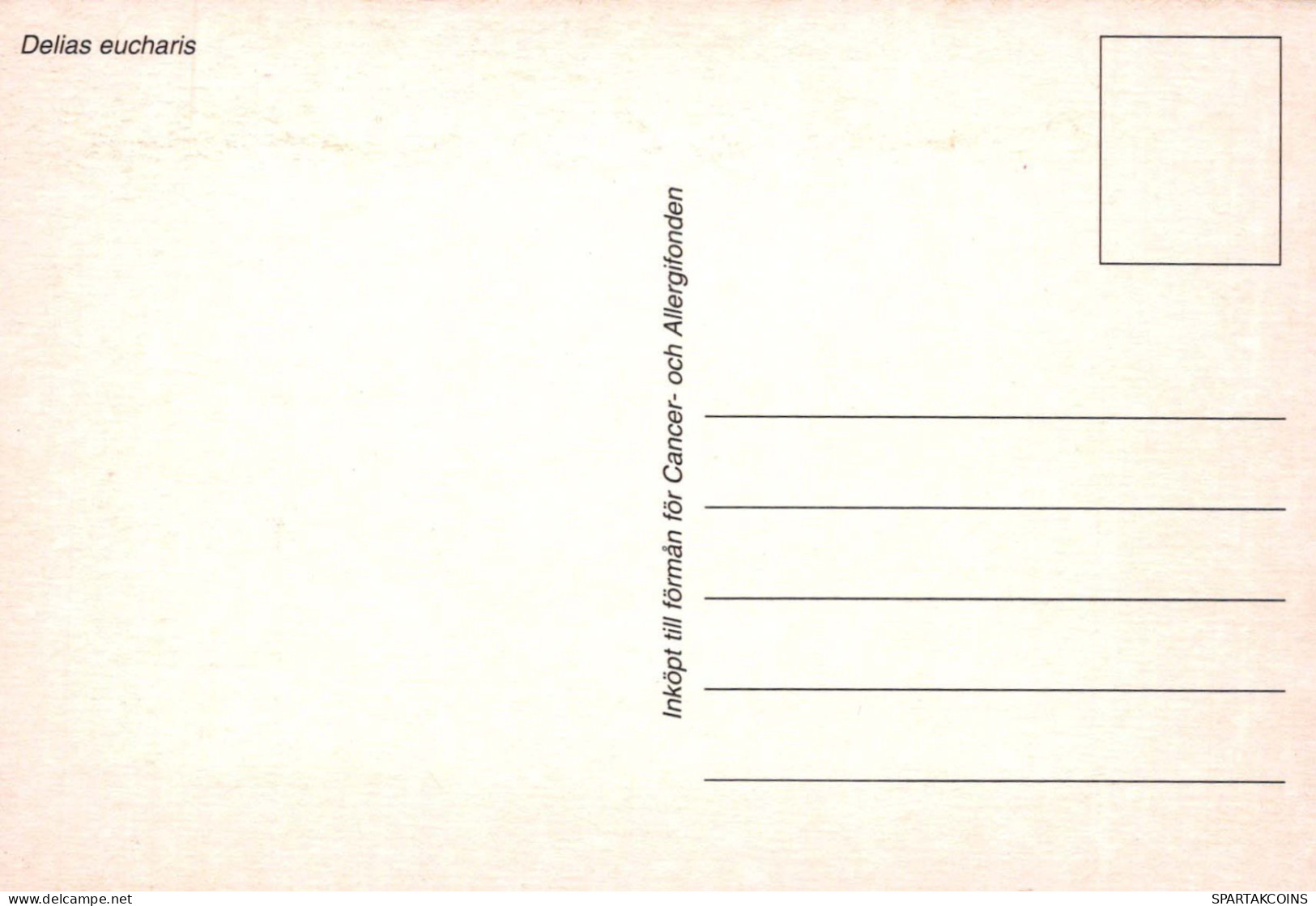 PAPILLONS Vintage Carte Postale CPSM #PBZ917.A - Butterflies