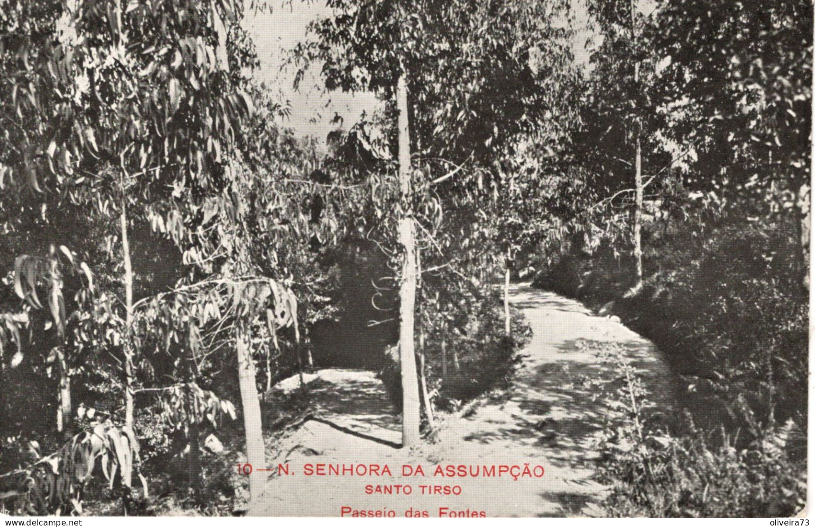 SANTO TIRSO - N. Senhora Da Assumpção - Passeio Das Fontes - PORTUGAL - Porto