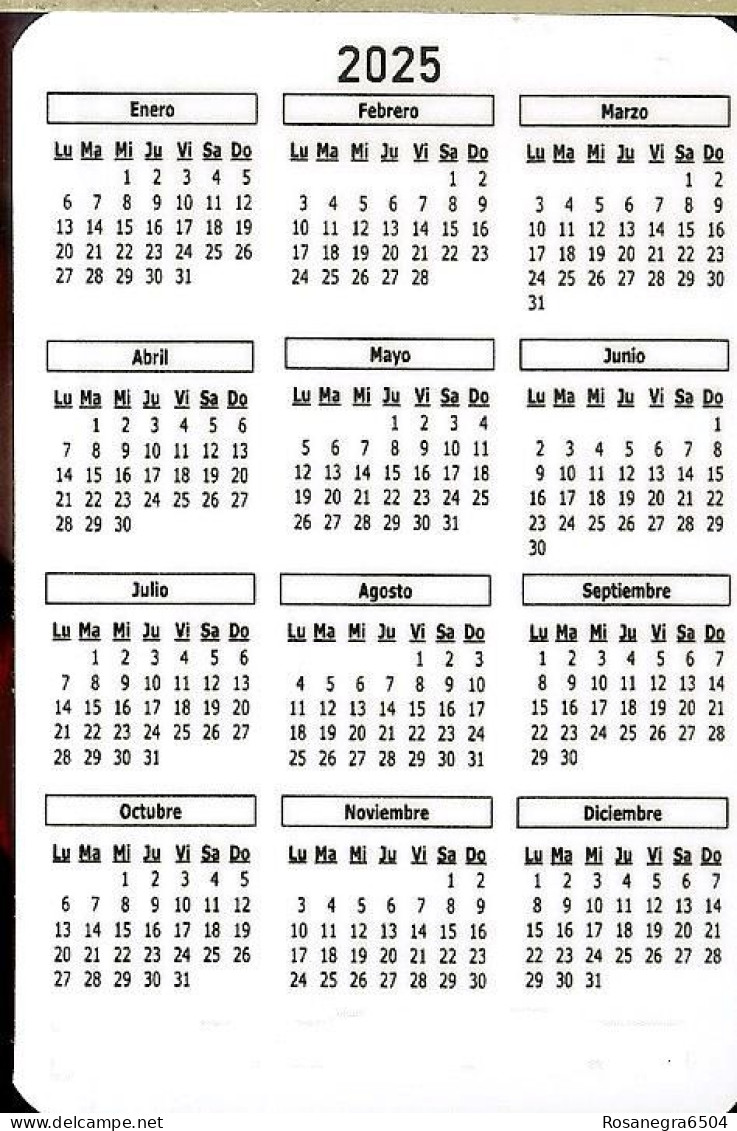 9 SPAIN POCKET CALENDARS, CALENDRIERS DE POCHE, CALENDARIOS - YEAR 2025 - BEERS AND PIN-UP - Small : 2001-...