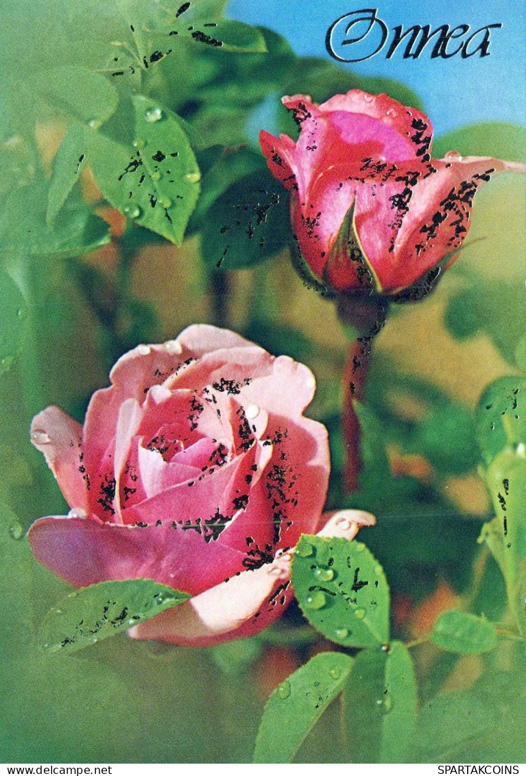 FLOWERS Vintage Postcard CPSM #PAS132.GB - Fleurs