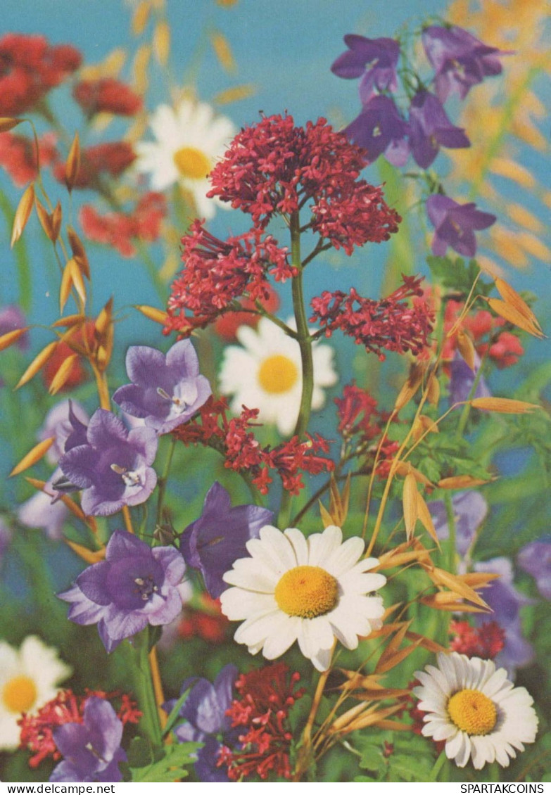 FLOWERS Vintage Postcard CPSM #PAR230.GB - Fleurs