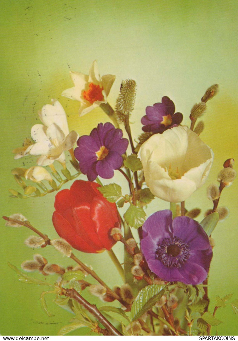 FLOWERS Vintage Postcard CPSM #PAR109.GB - Fleurs