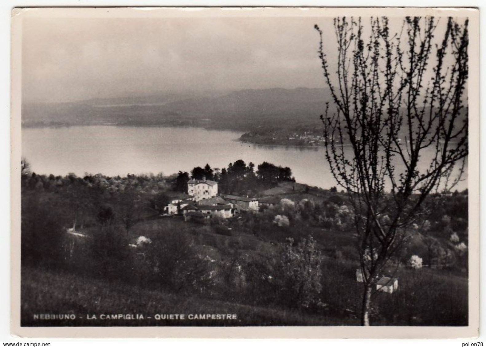 NEBBIUNO - LA CAMPIGLIA - QUIETE CAMPESTRE - NOVARA - 1953 - Novara