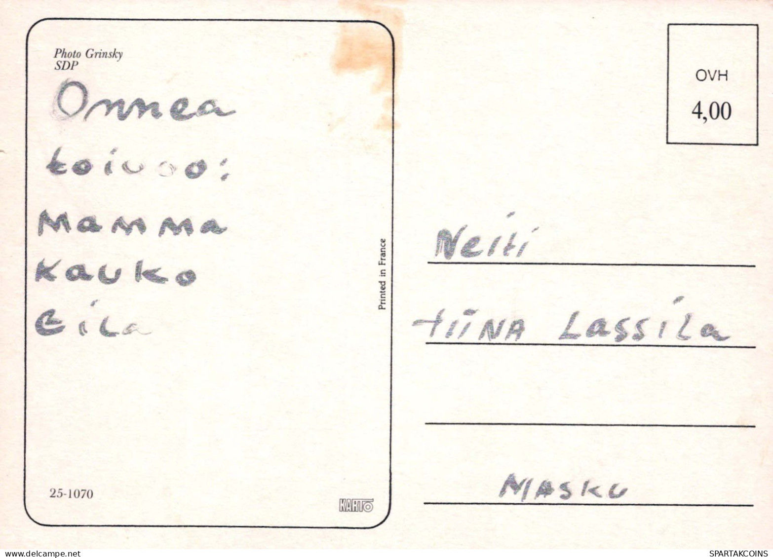 FLORES Vintage Tarjeta Postal CPSM #PAS553.ES - Fleurs