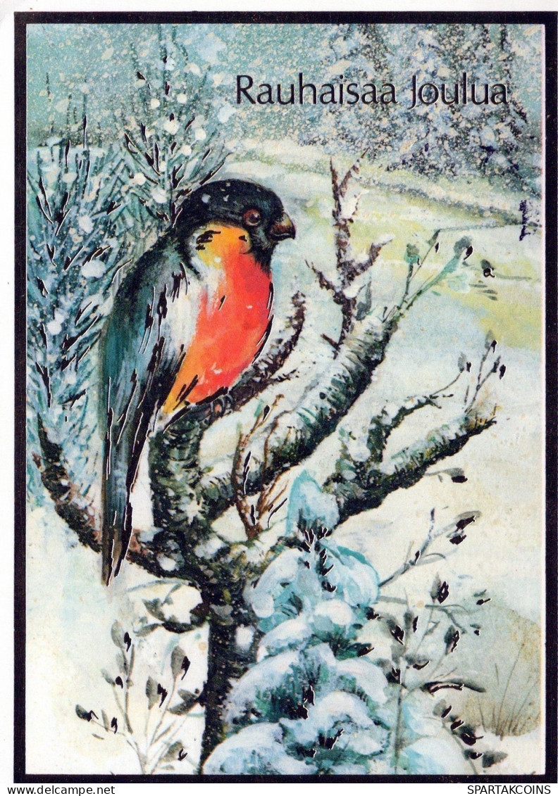 PÁJARO Animales Vintage Tarjeta Postal CPSM #PAN031.ES - Oiseaux