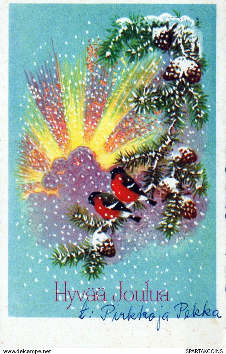 BIRD Vintage Postcard CPSMPF #PKG953.GB - Oiseaux
