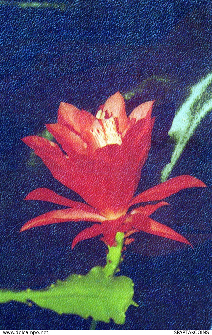 FLOWERS Vintage Postcard CPA #PKE533.GB - Blumen