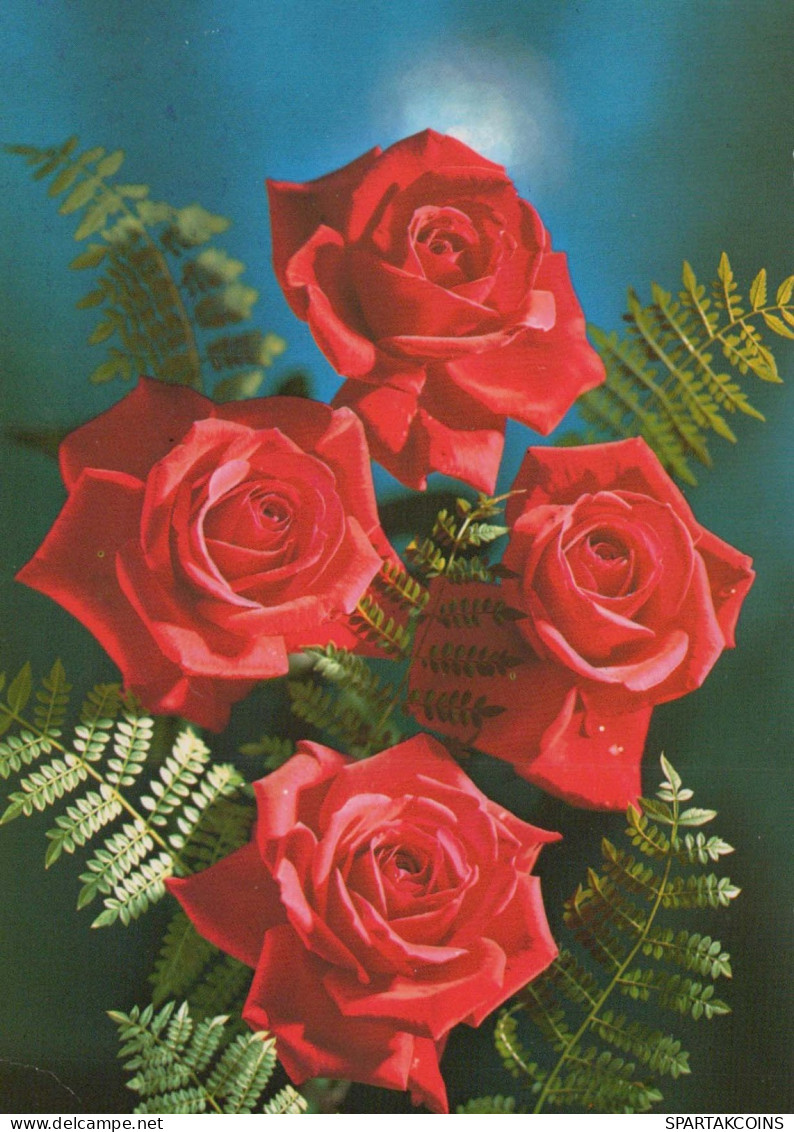 FLEURS Vintage Carte Postale CPSM #PAS554.FR - Fleurs