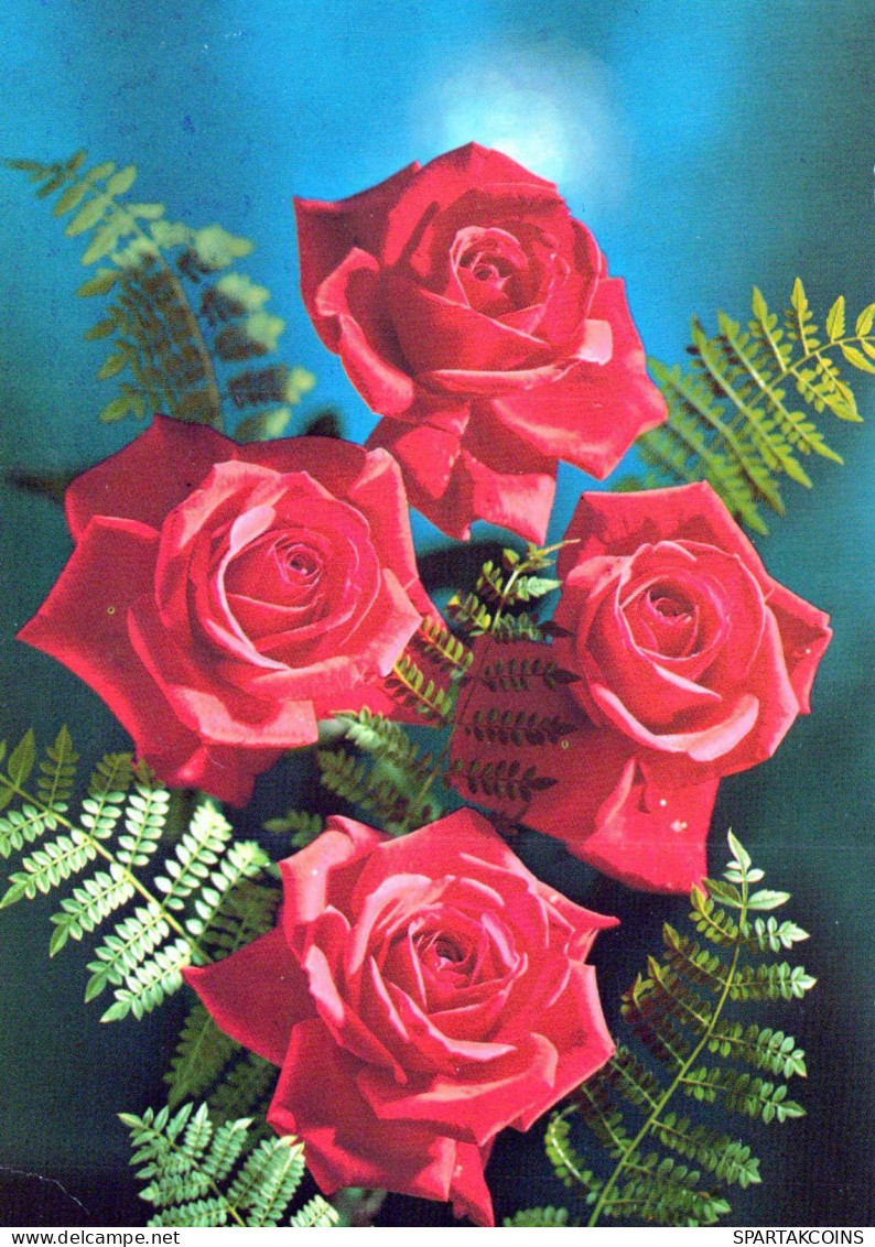 FLEURS Vintage Carte Postale CPSM #PAS554.FR - Fleurs