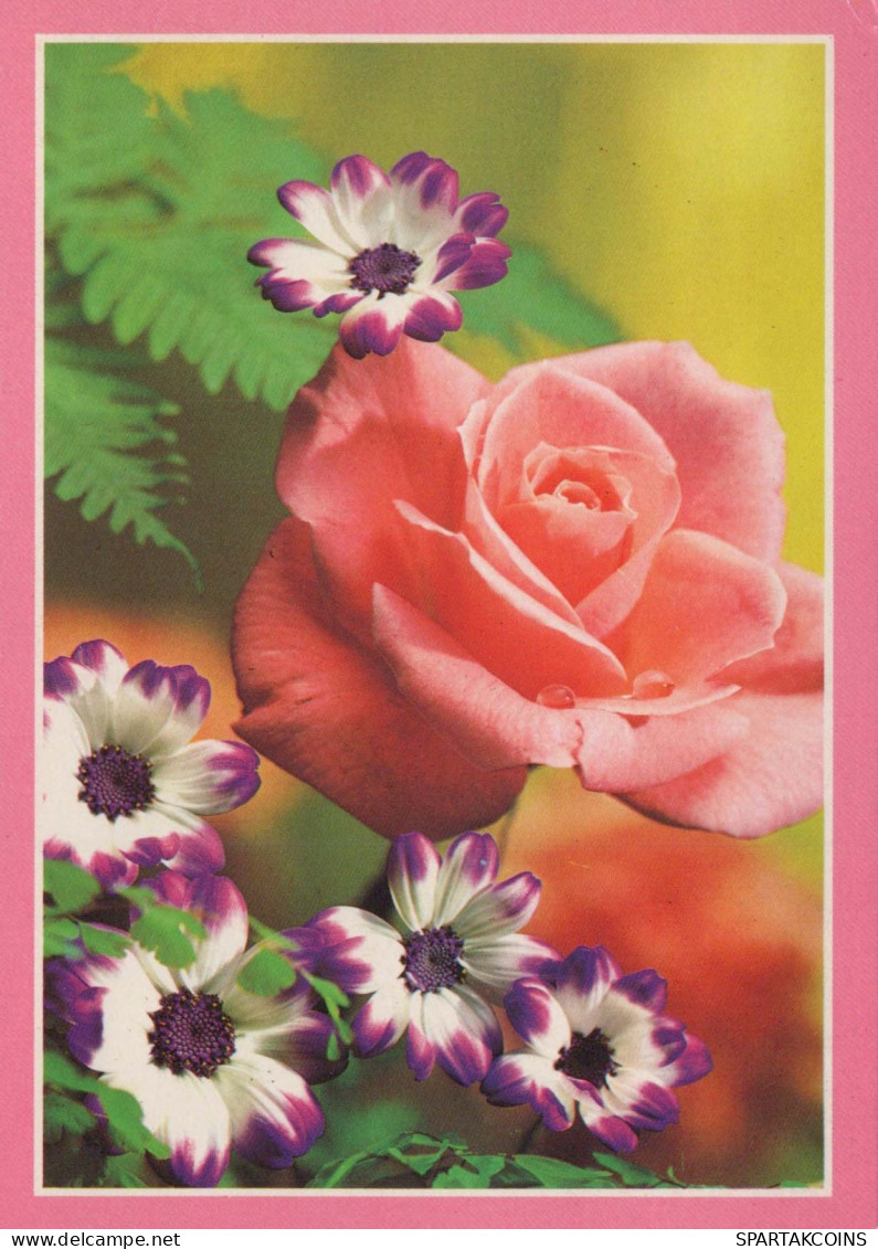 FLEURS Vintage Carte Postale CPSM #PAS314.FR - Blumen