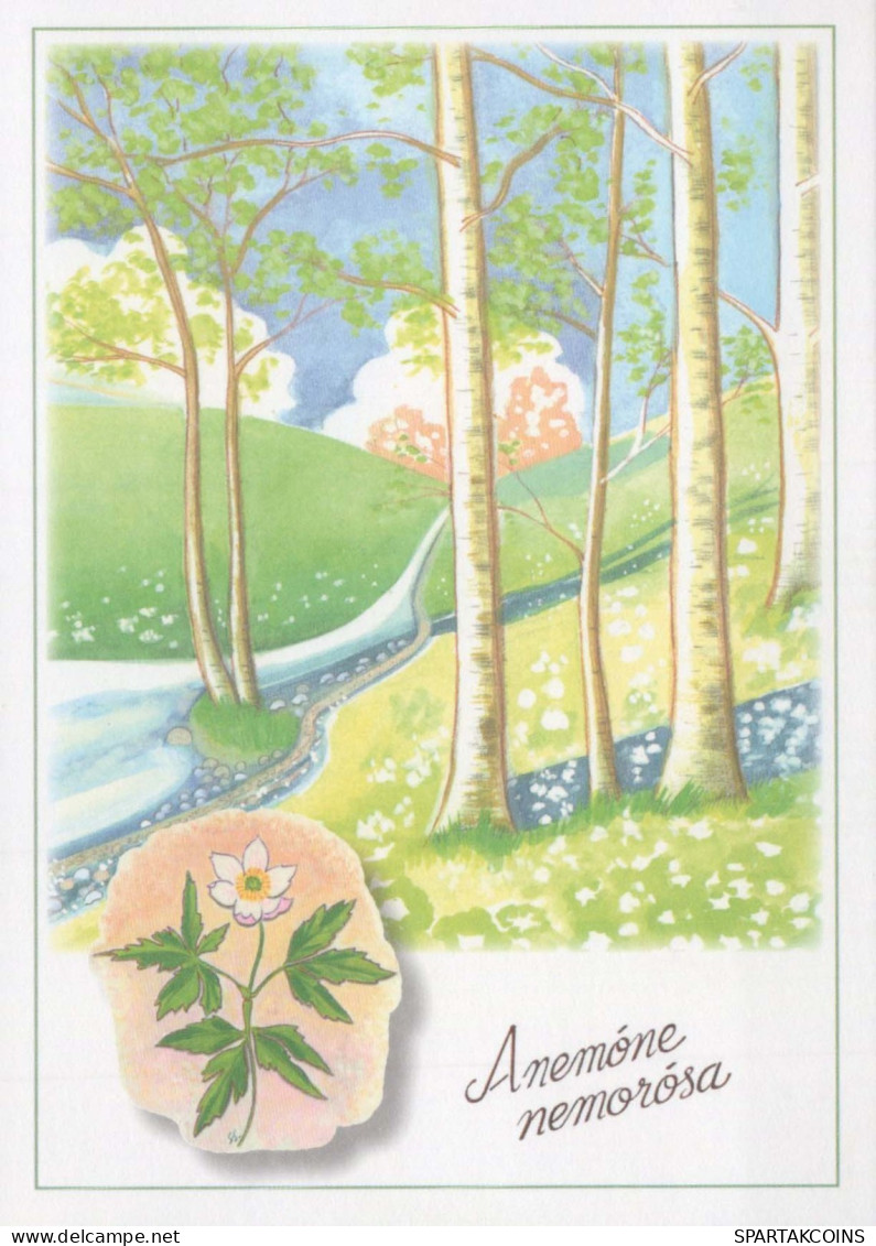 FLEURS Vintage Carte Postale CPSM #PAR413.FR - Blumen