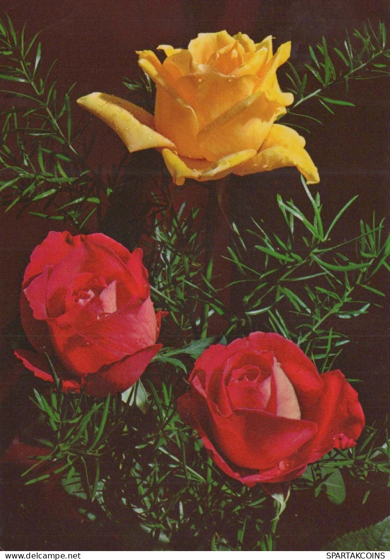 FLEURS Vintage Carte Postale CPSM #PAS014.FR - Fleurs