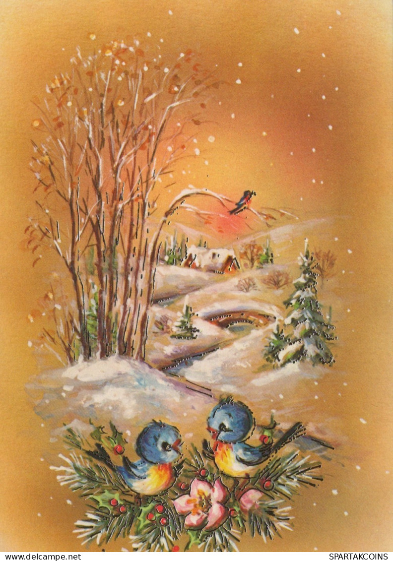 OISEAU Animaux Vintage Carte Postale CPSM #PAM969.FR - Oiseaux
