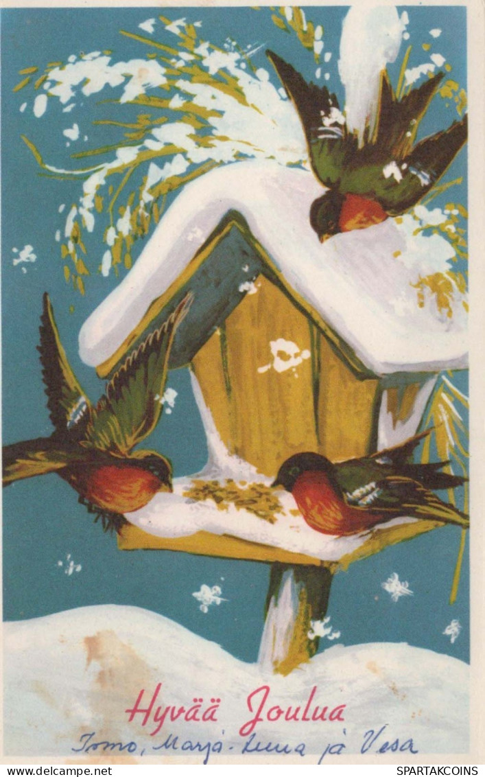 PÁJARO Vintage Tarjeta Postal CPSMPF #PKG954.ES - Oiseaux