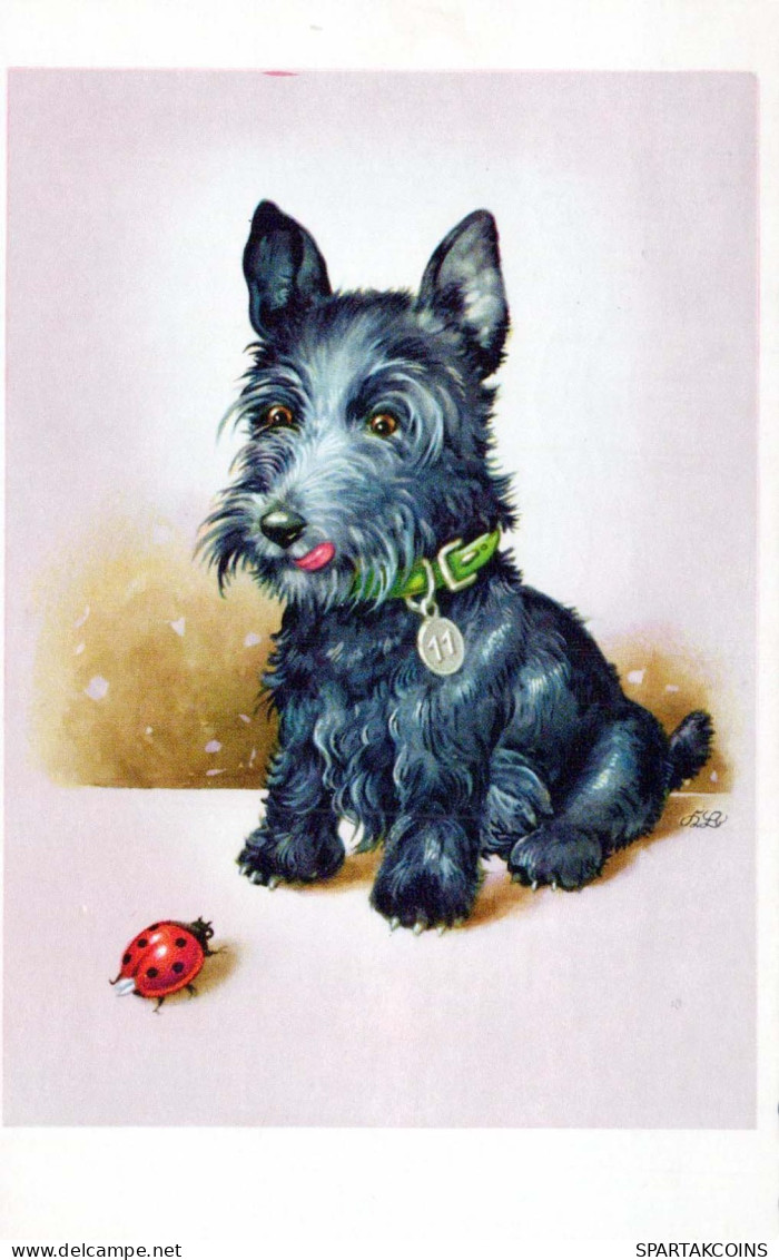 PERRO Animales Vintage Tarjeta Postal CPA #PKE781.ES - Cani